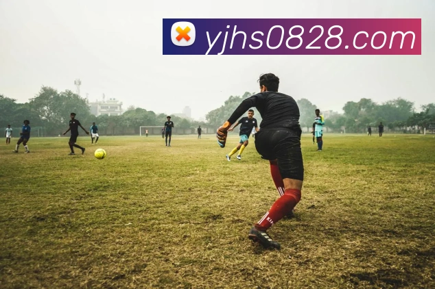 星空app官网登录入口APP 高清赛事图